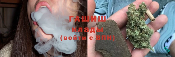 шишки Алексин