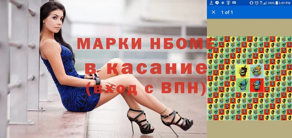 индика Алзамай