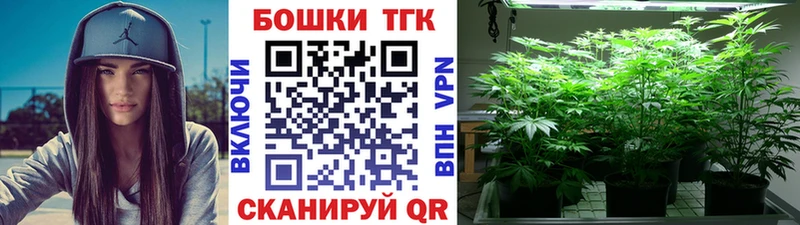 где можно купить   Белый  Конопля индика 